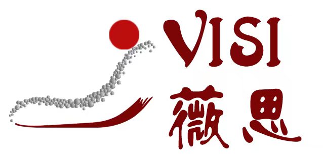 Yiwu visi lifestyle co., ltd